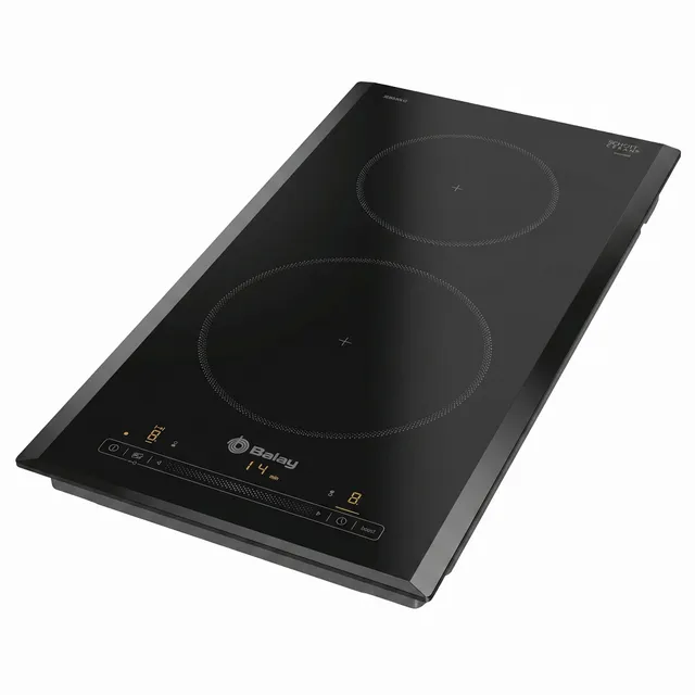 Placa domino induccion encastrable 30 cm 2 zonas